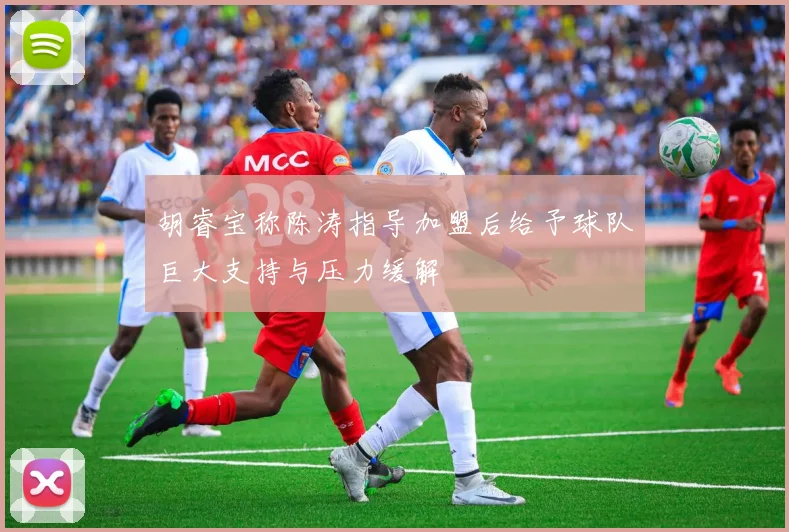 胡睿宝称陈涛指导加盟后给予球队巨大支持与压力缓解